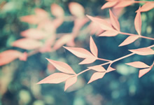 勒沃库森客场大胜，逼近欧冠区