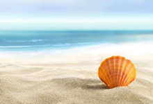 勒沃库森客场大胜，逼近欧冠区