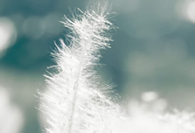 欧洲俱乐部开启实力对决，备战国内联赛