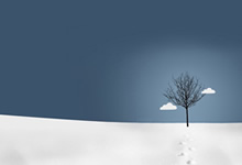 欧洲联赛中的胜者始终是我们