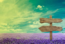 出其不意！瑞士队员意外夺得赛艇比赛冠军